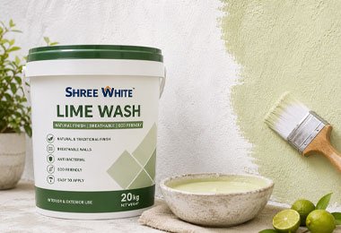 Wallput Wall Putty