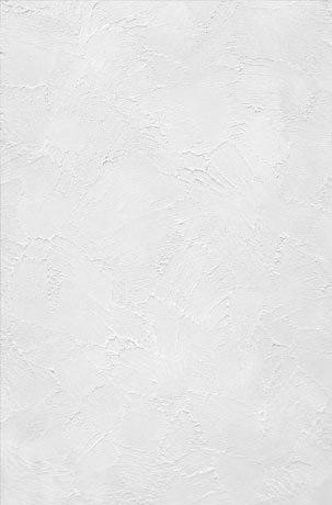 Wall Putty