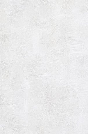 Wall Putty
